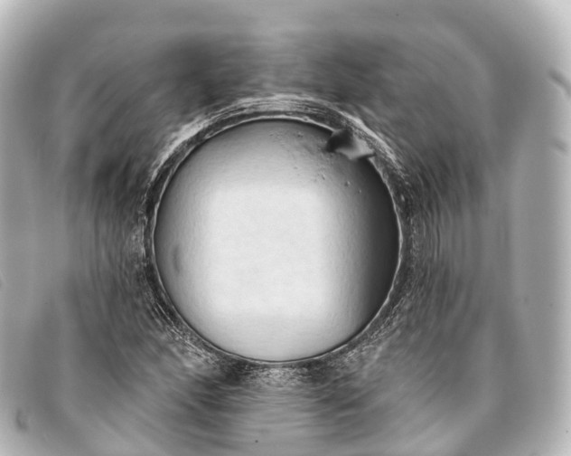 X0000093381166200710251210