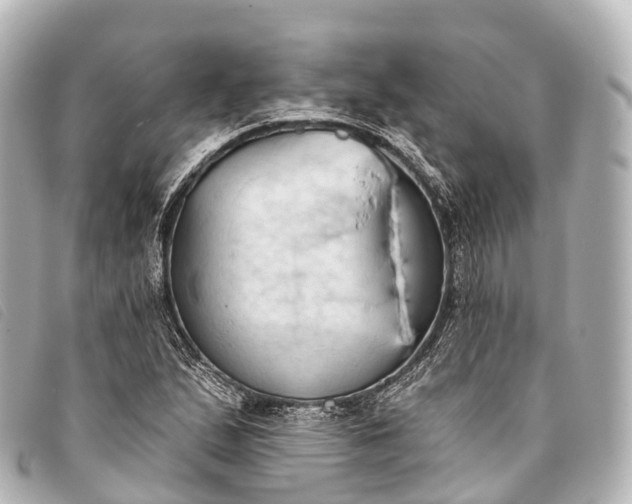 X0000093381167200710251210