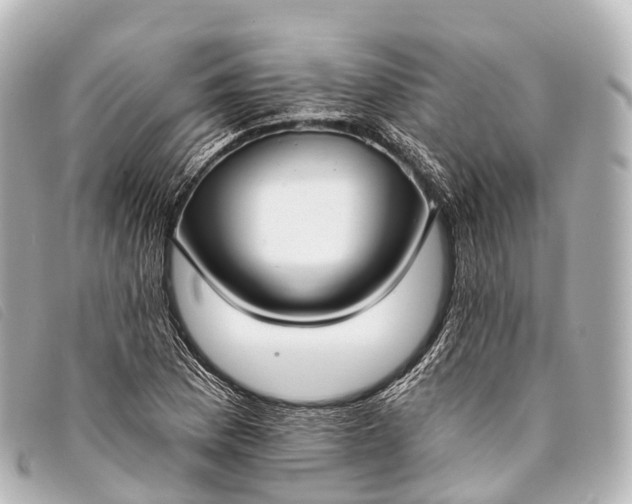 X0000093381169200710251210