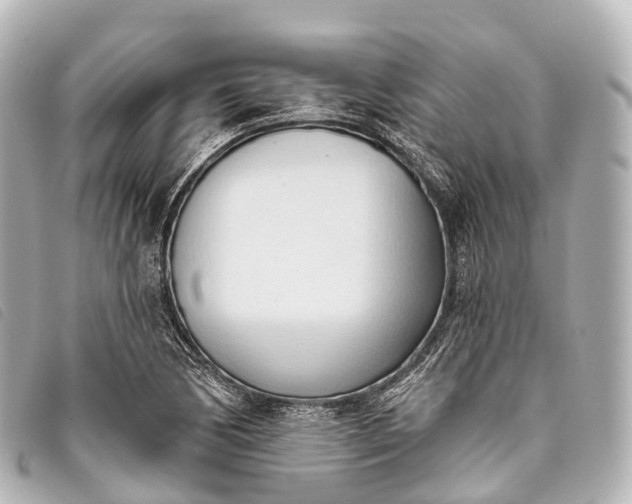 X0000093381170200710251210