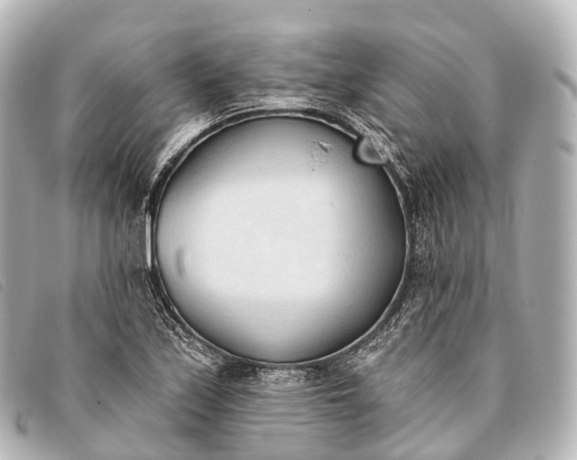 X0000093381171200710251210