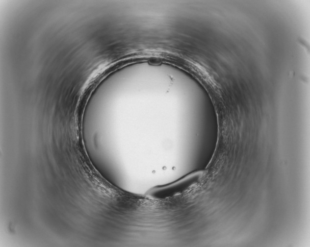 X0000093381172200710251210