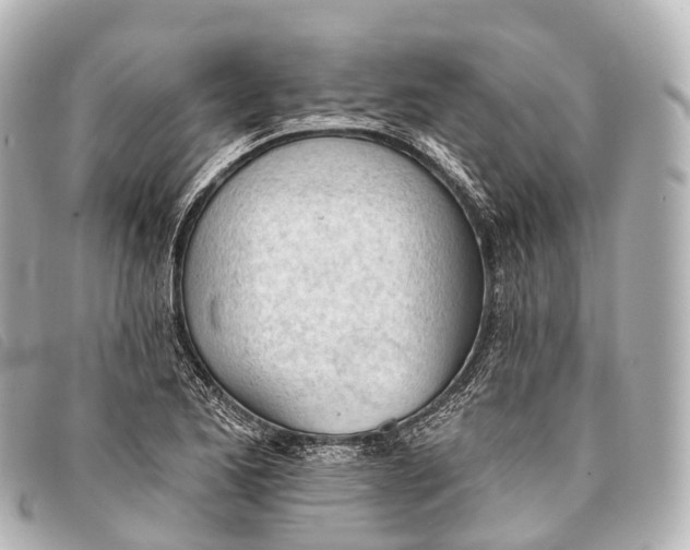 X0000093381173200710251210