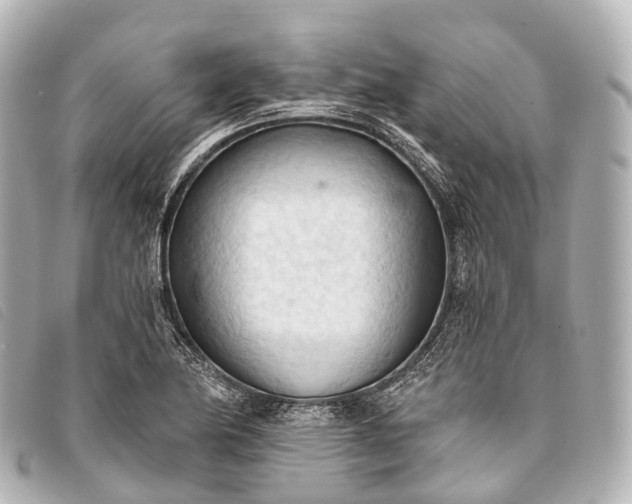 X0000093381174200710251210