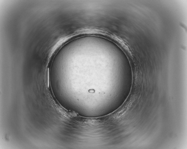 X0000093381175200710251210