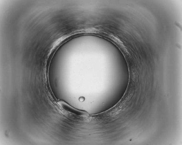 X0000093381176200710251210