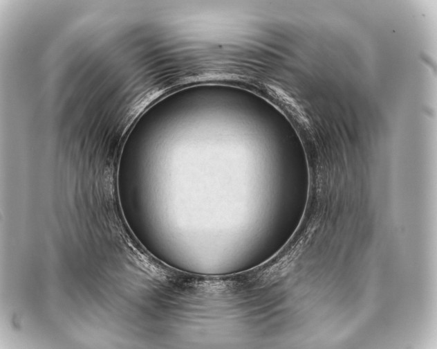 X0000093381177200710251210