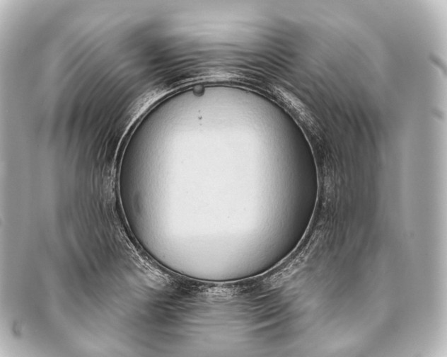 X0000093381178200710251210