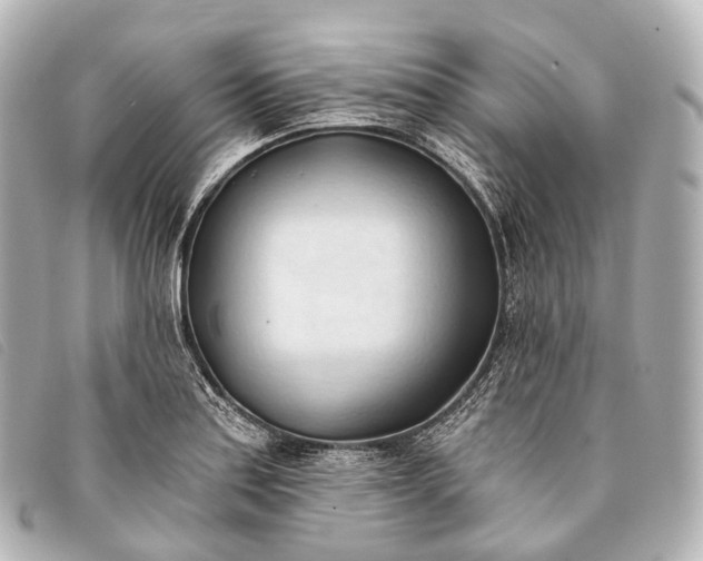 X0000093381179200710251210