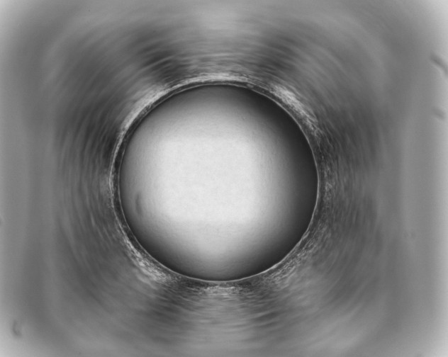 X0000093381181200710251210