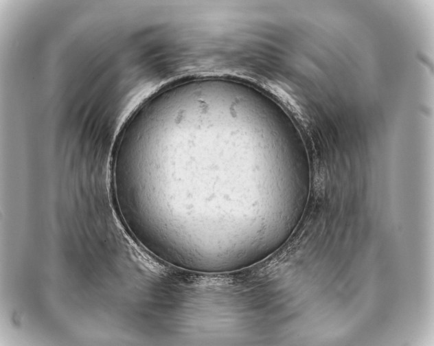 X0000093381183200710251210