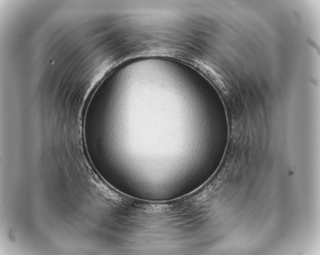 X0000093381184200710251210