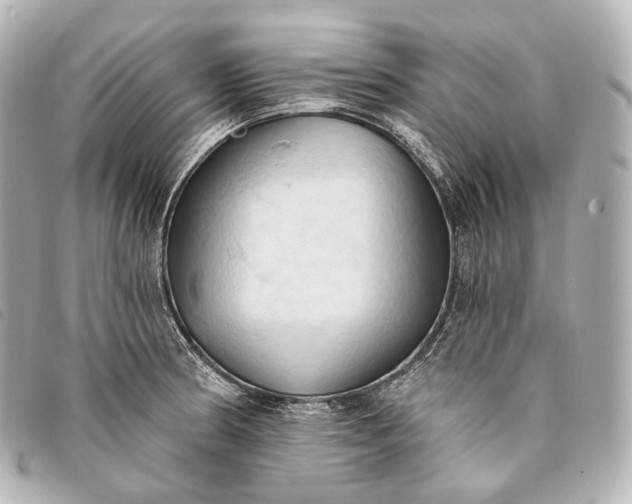 X0000093381186200710251209