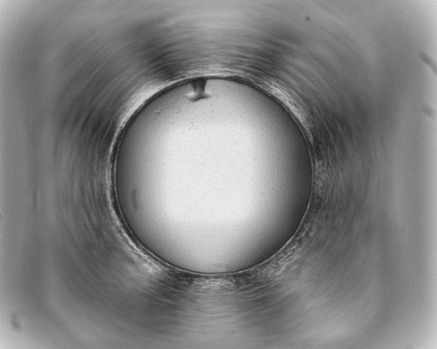 X0000093381187200710251209