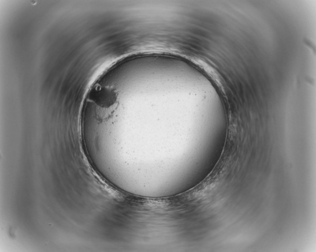 X0000093381191200710251209