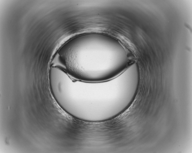 X0000093381192200710251209