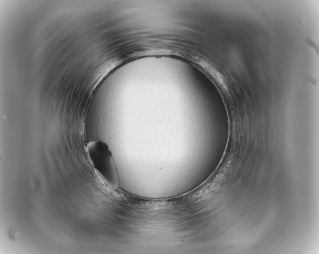 X0000093381193200710251209