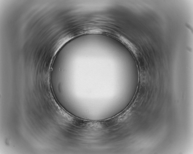 X0000093381194200710251209