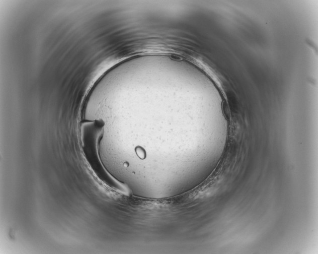 X0000093381195200710251209