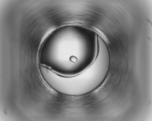 X0000093381196200710251209