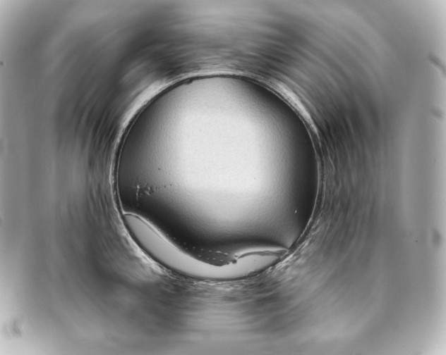 X0000093381197200710251209