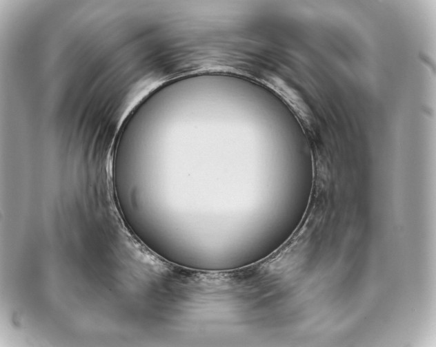 X0000093381198200710251209