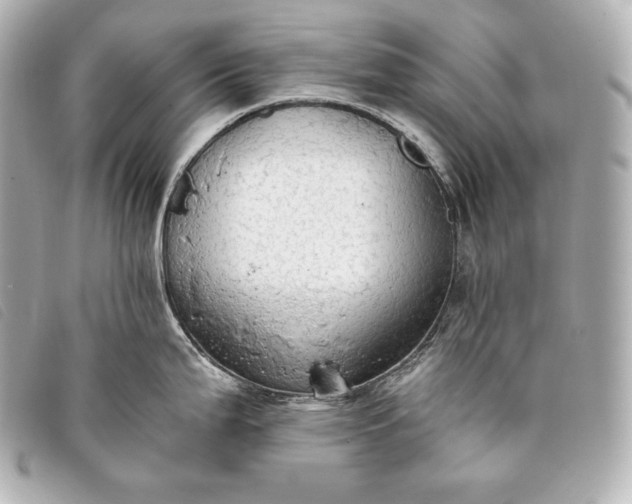 X0000093381199200710251209