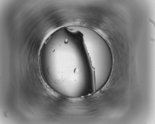 X0000093381200200710251209