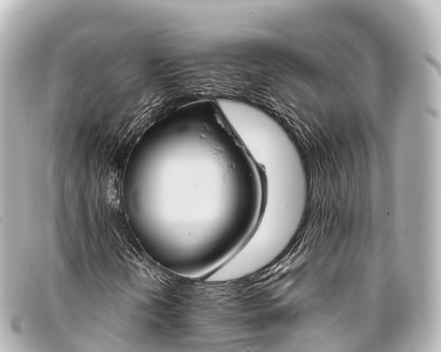 X0000093381202200710251209