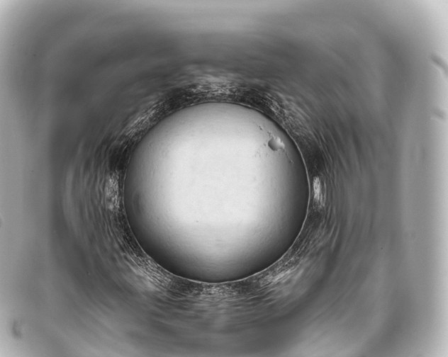 X0000093381203200710251209