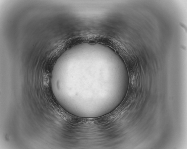 X0000093381204200710251209