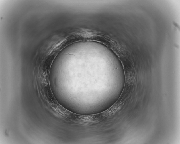 X0000093381205200710251209