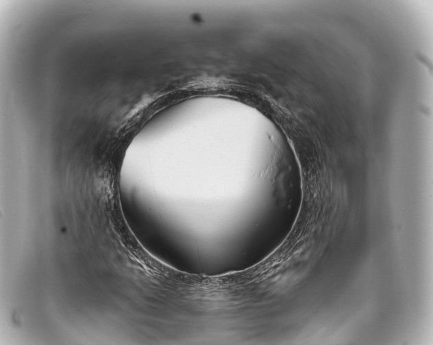 X0000093381206200710251209