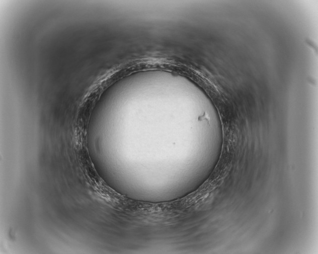 X0000093381207200710251209