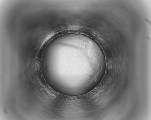 X0000093381208200710251209