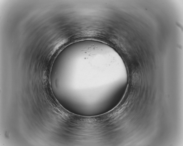 X0000093381210200710251209