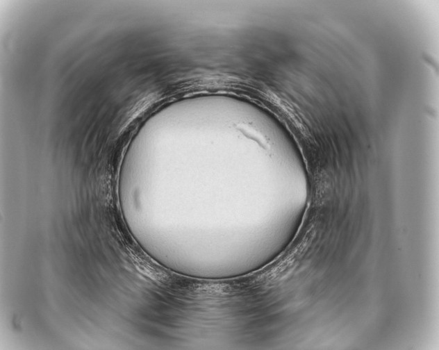 X0000093381211200710251209