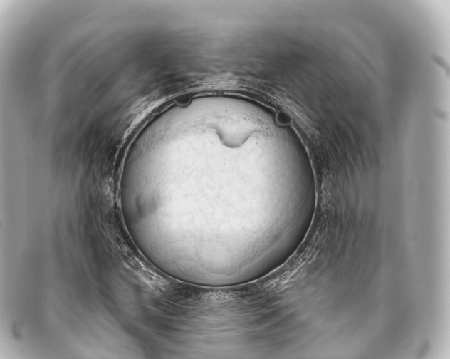 X0000093381212200710251209