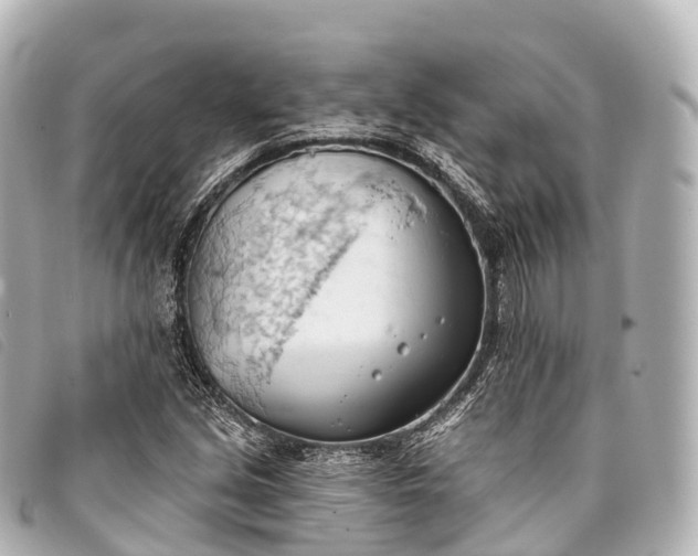 X0000093381213200710251209