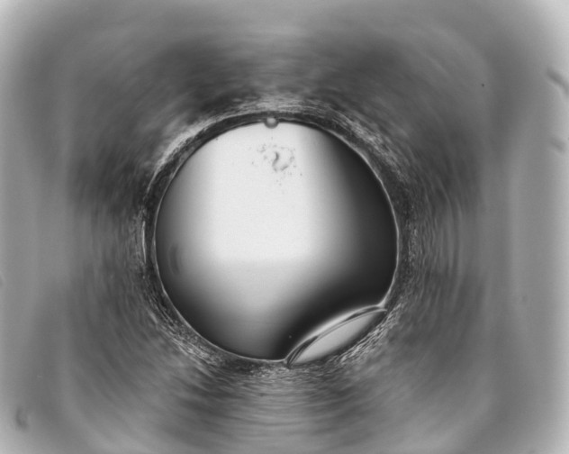 X0000093381214200710251209