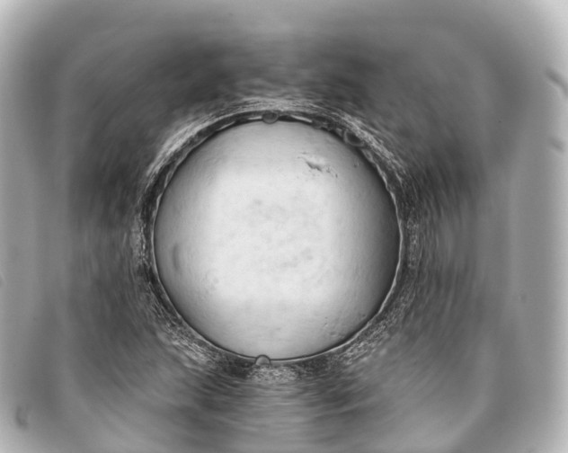 X0000093381215200710251209