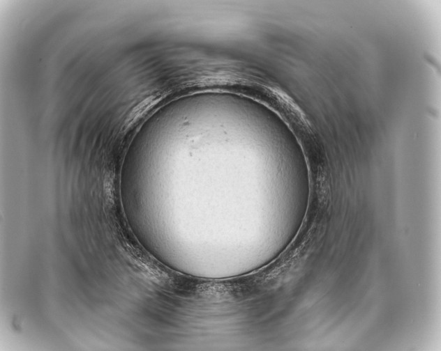 X0000093381217200710251209