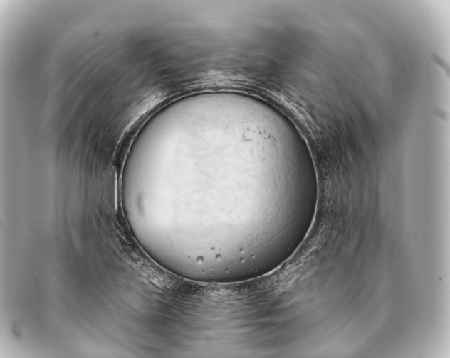 X0000093381219200710251209