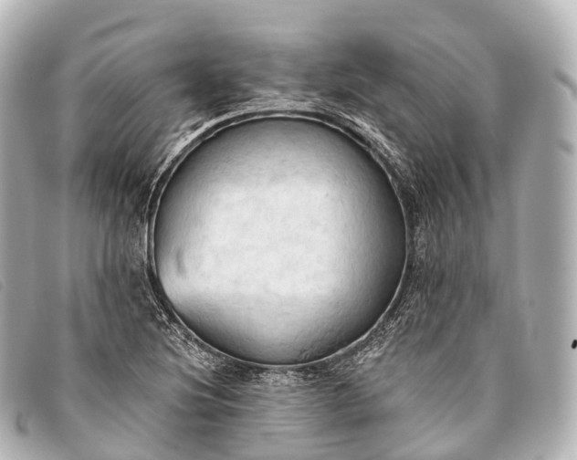 X0000093381220200710251209