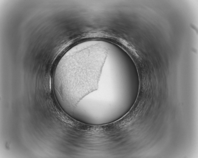 X0000093381221200710251209