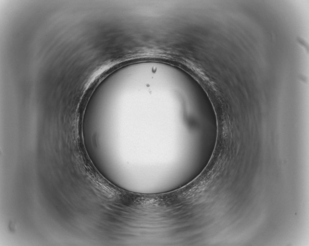 X0000093381222200710251209