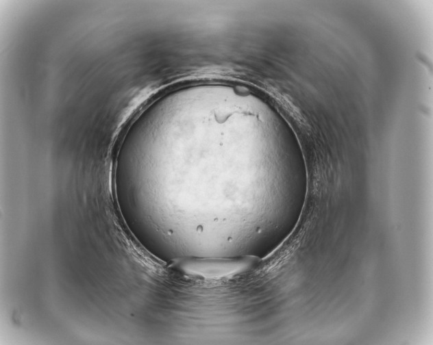 X0000093381224200710251209