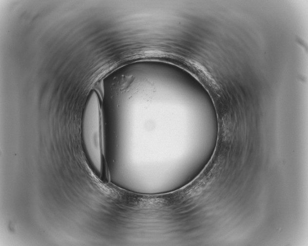 X0000093381225200710251209