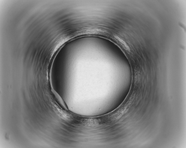 X0000093381226200710251209