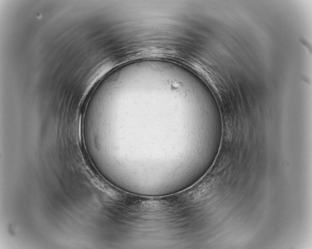 X0000093381227200710251209